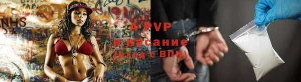PSILOCYBIN Алексеевка