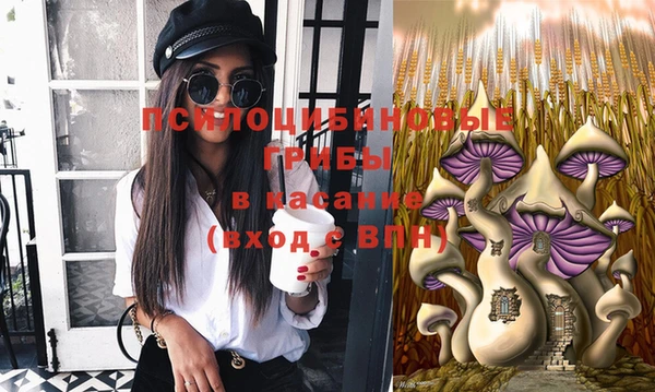 PSILOCYBIN Алексеевка