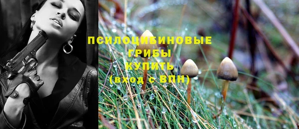 круглые Алзамай