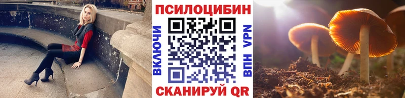 blacksprut ссылки  дарнет шоп  Саранск  Псилоцибиновые грибы Magic Shrooms 