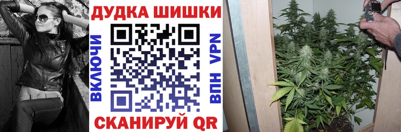 Шишки марихуана конопля  ссылка на мегу ссылка  Саранск  дарнет шоп 
